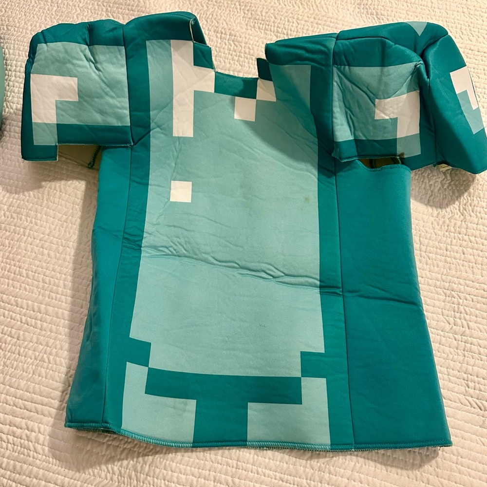 Minecraft Halloween Costume